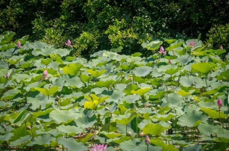 Family Travel Customization