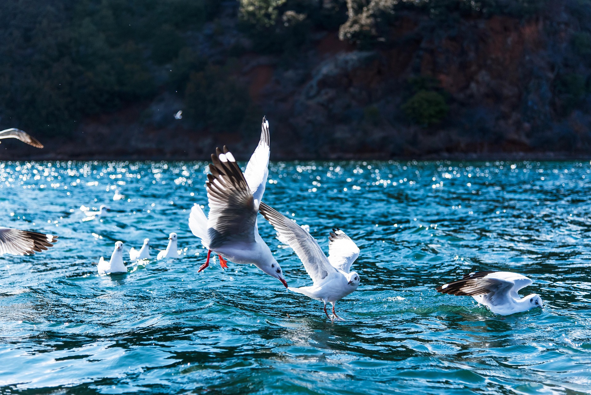 5 Days West Yunnan Private Tour to Dali - Tengchong