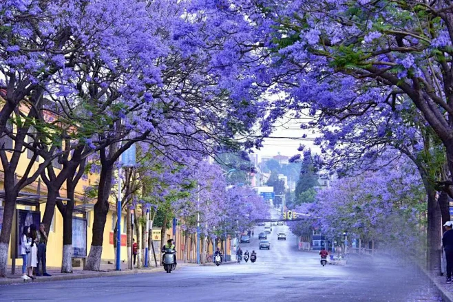 3 Days Kunming Private Tour