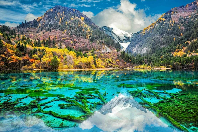 5 Days Private Tour of Chengdu - Huanglong - Jiuzhaigou